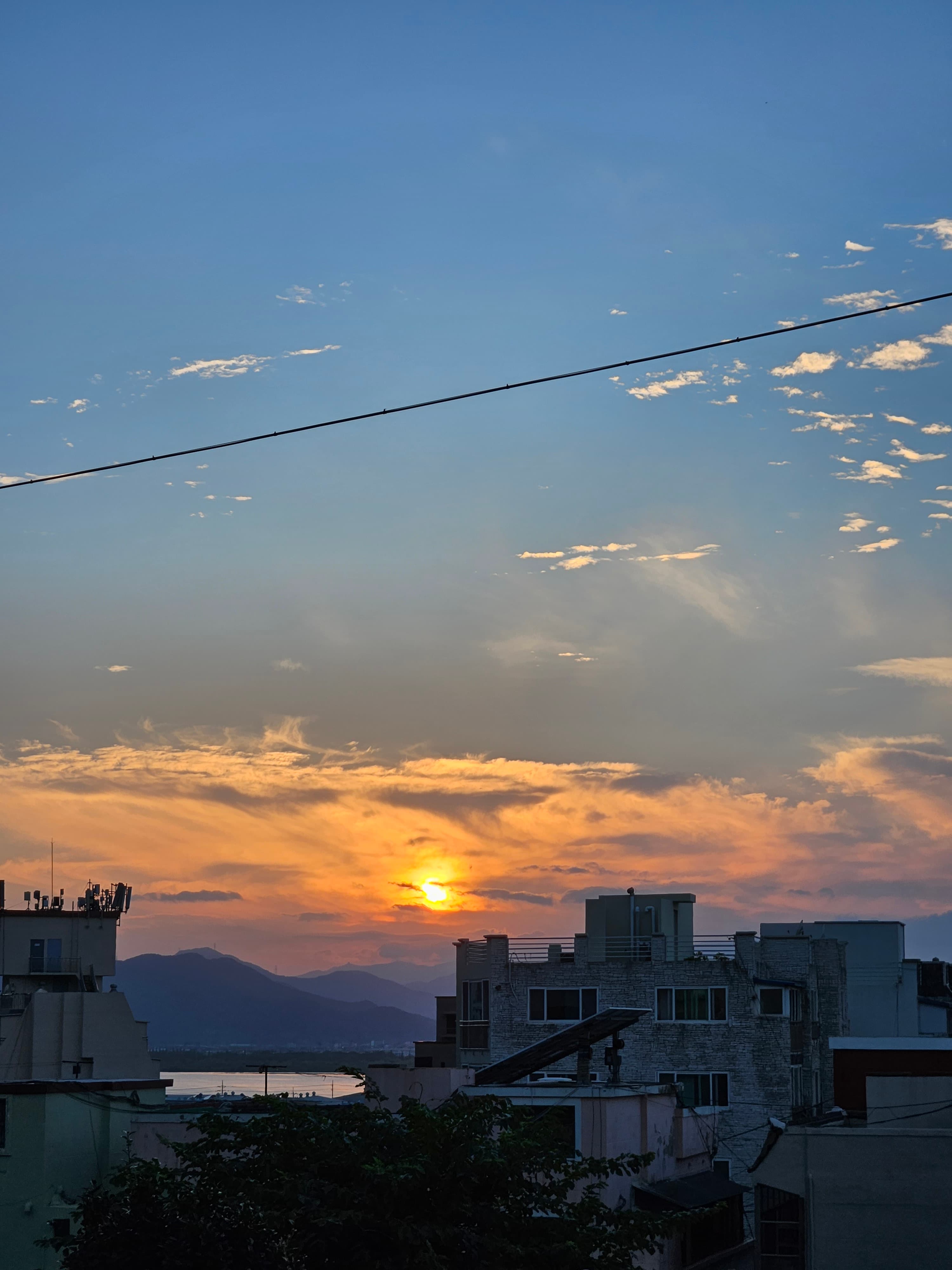 Eomgung Cherry Blossoms — A Spring Walk Along the Nakdong River