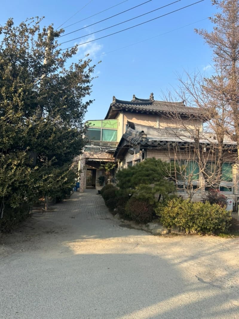 The Hidden Romance of Busan’s Riverside: A Journey to Nakdonggang Orial